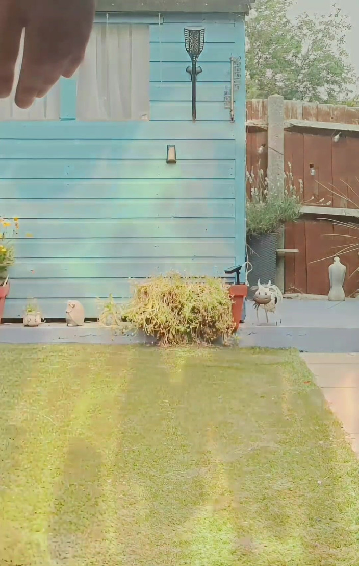 MaleModel: Desnudez del jardín / exposición (parte 1)