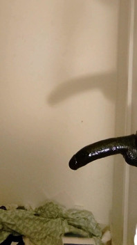 Whiteboi with Cute Round Ass Pushing Back Against Huge BBC Dildo
