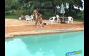 Big Boobs at Play: Збуджена брюнетка смокче член хлопця, який прибирає в басейні