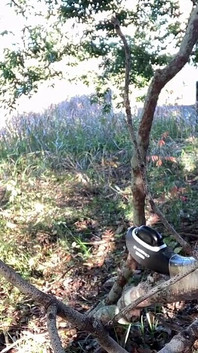 Máquina de Masturbação Ordem do Treinador nº 43