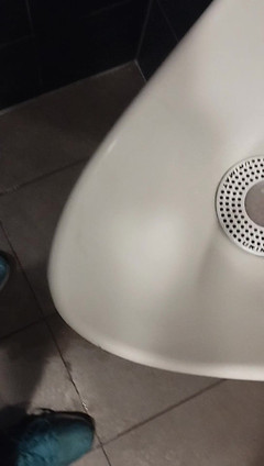 Bayer911: Guru des Pissens