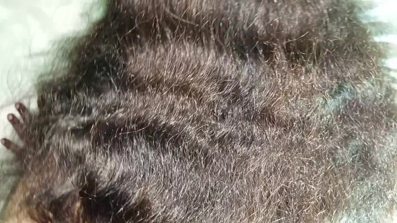 Netu: Anal Follando Novia Musulmana En Perrito