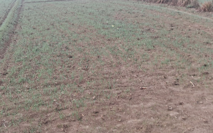 Flex day: Velký penis ind