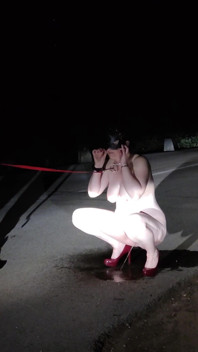 A Guy Made Me Suck His Cock and Piss at the Road