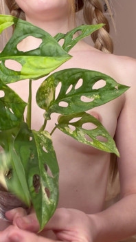 Nude Plant Haul