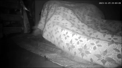 Hot indian wife: Indian Wife Big Boobs Kissing Ass