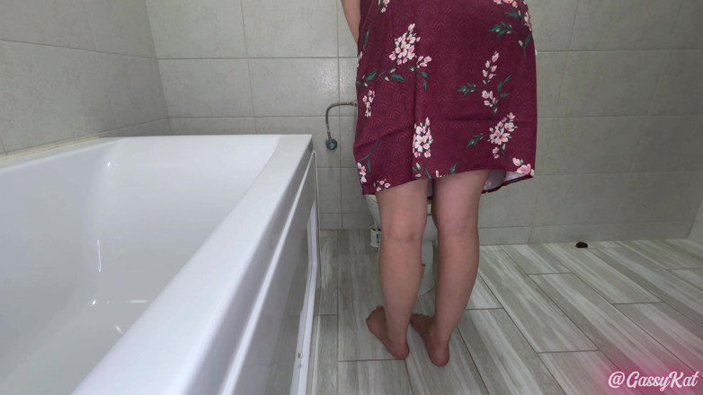 GassyKat: Die tägliche toiletten-episode 35