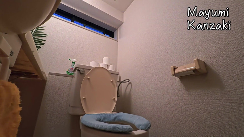 Mayumi Kanzaki: Daily Life of a Japanese Wife - Toilet
