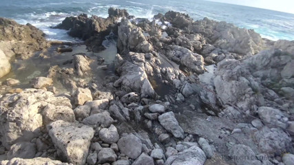 Projectsexdiary: Sesso selvaggio nell'ocean beach e sborra a piedi