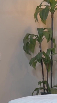 Junge kleine schlampe fingert ihre nasse muschi in solo-action