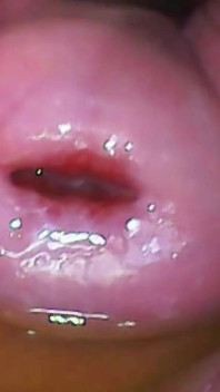 Extreme Close-up Pussy Cam