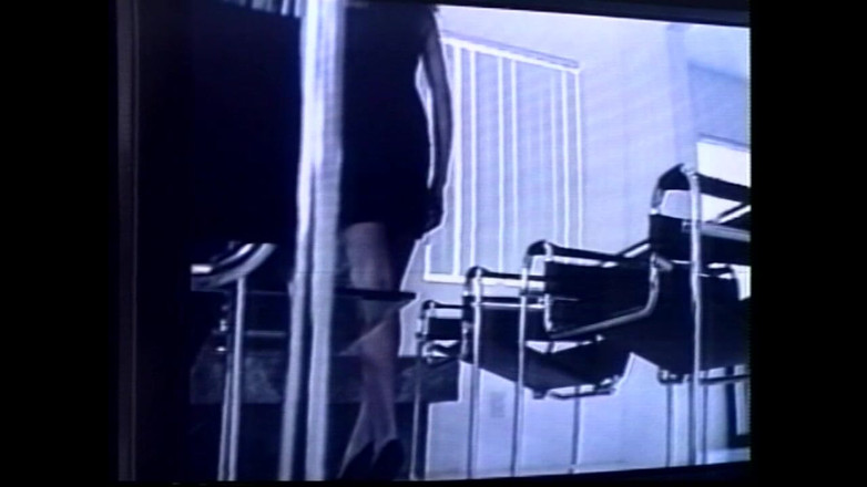 Vintage megastore: Un tânăr Rocco o brunetă frumoasă