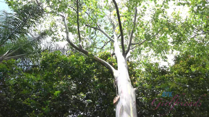ATK Fans (Girlfriends): Virtual vacation in Hawaii with Kristen Scott part 4