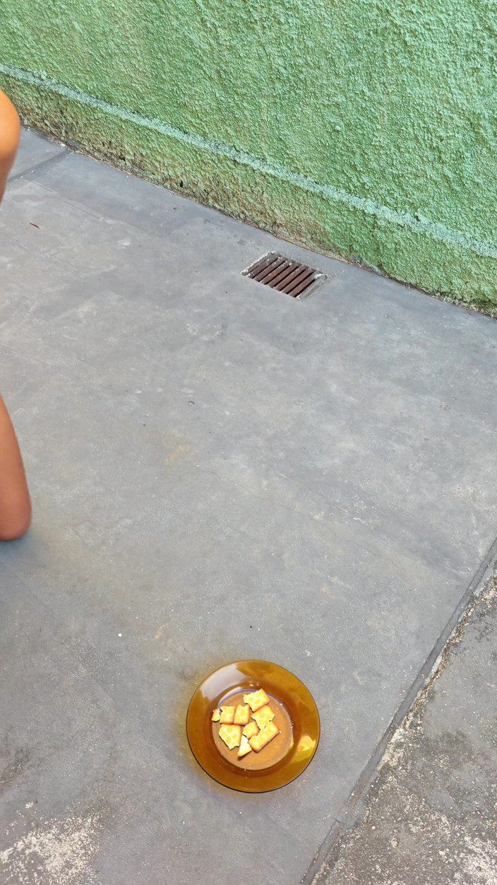 Lily Slav: Phục tùng đi bộ trên đầu gối trong nô lệ làm nhục