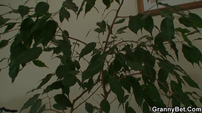 Granny Sluts: 花のための水、おばあちゃんのためのセックス