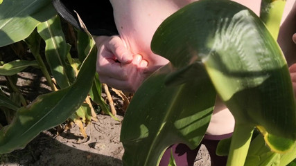 Bouncy Tits Action: Tampar tetek saya di padang jagung