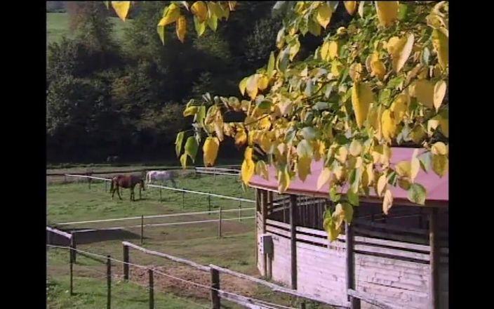 Little World: 2人のセクシーな熟女の尻が2人の巨根で小さなおっぱいに犯され、射精されました