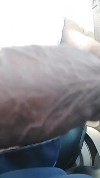 Ejaculate Land