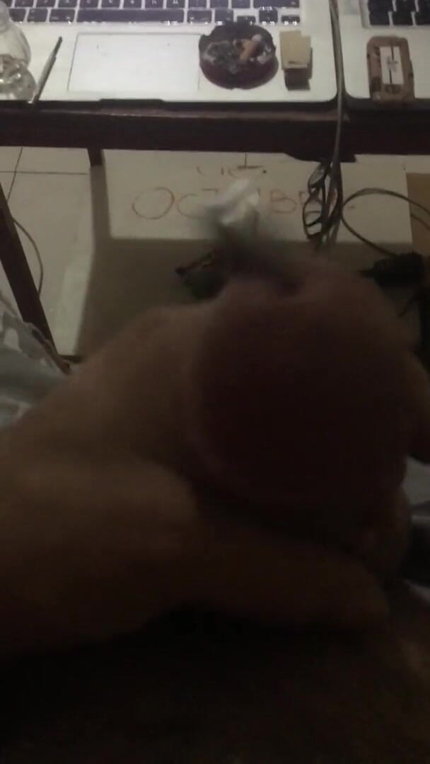 Phillholes: I m always playing with dildos and try to do...
