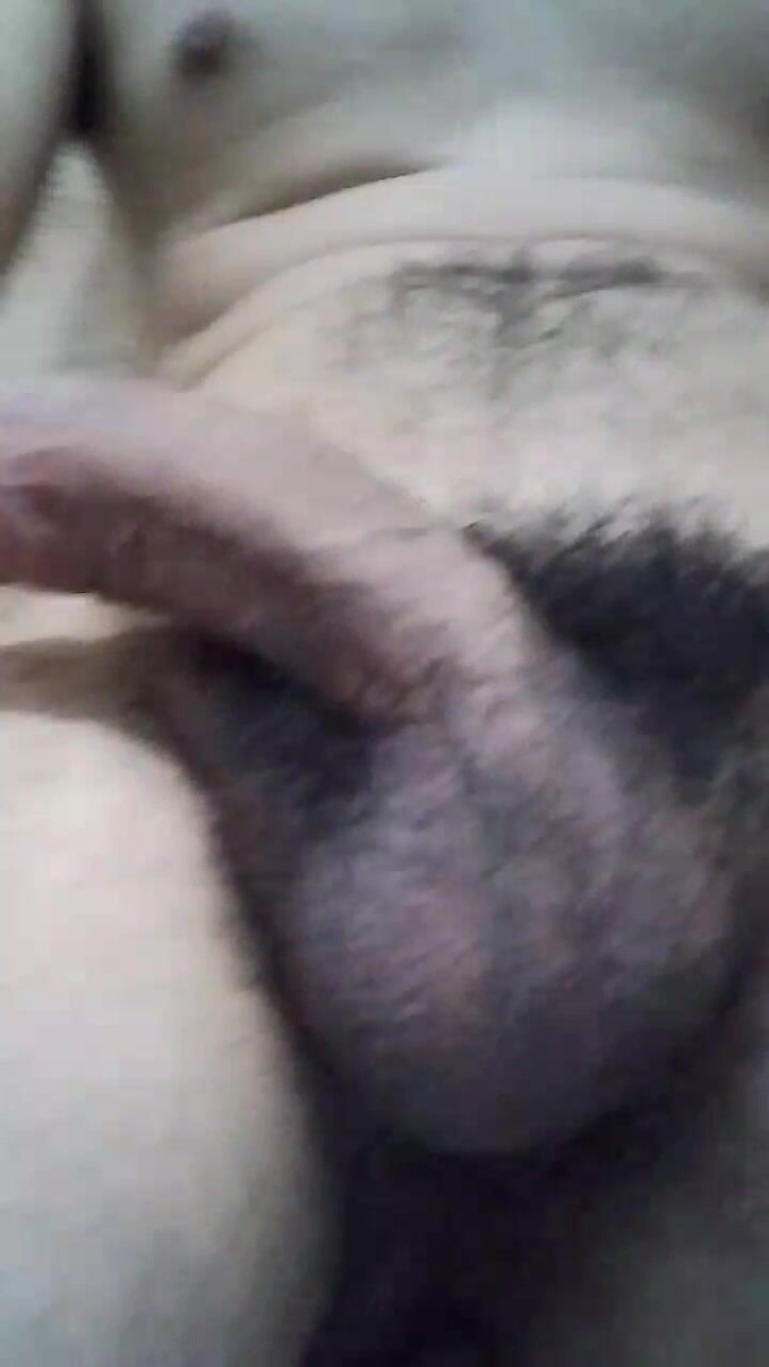 Franciscogdl1992: Melancap