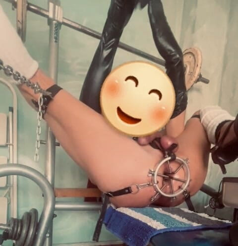 Analguy: 새로운 스트레칭
