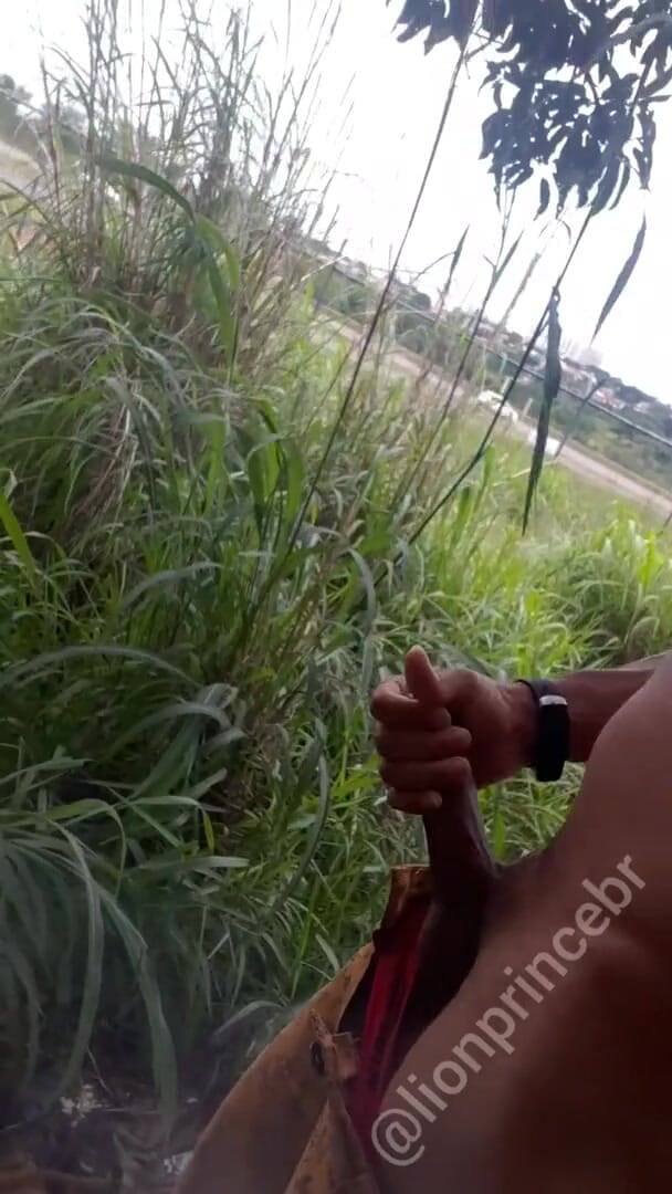 Lion prince: Nature inspires me