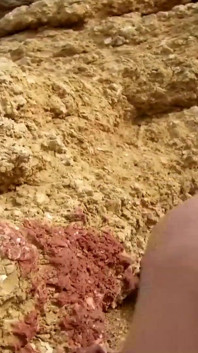 Blonde with natural tits gives a deep blowjob and fucks with Terry Reid in the dunes