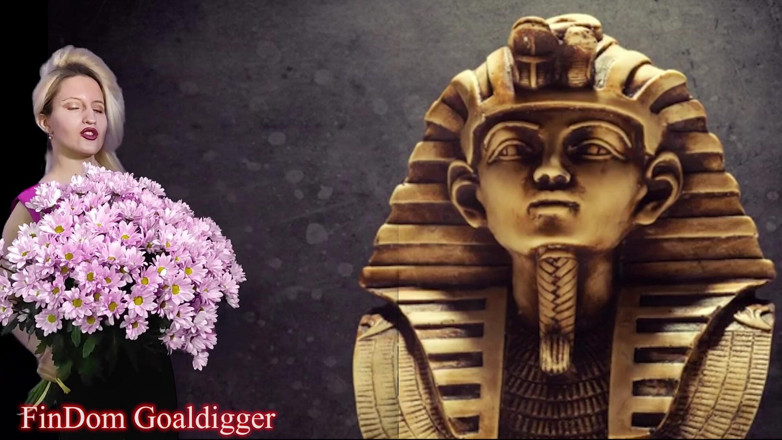 FinDom Goaldigger: Разрешение VIP Loserpaypig