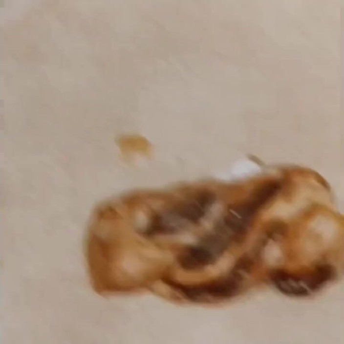 Food Fetish: Cum donut main