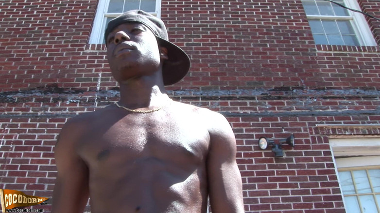 CocoDorm: Zvěrokruhu