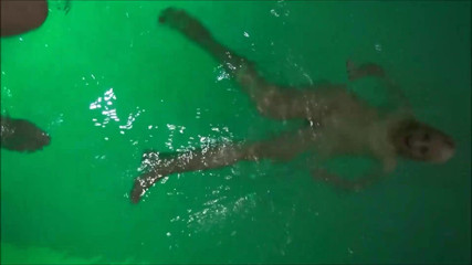 Helena Moeller: Sex in the pool with pussy lick and cum facial