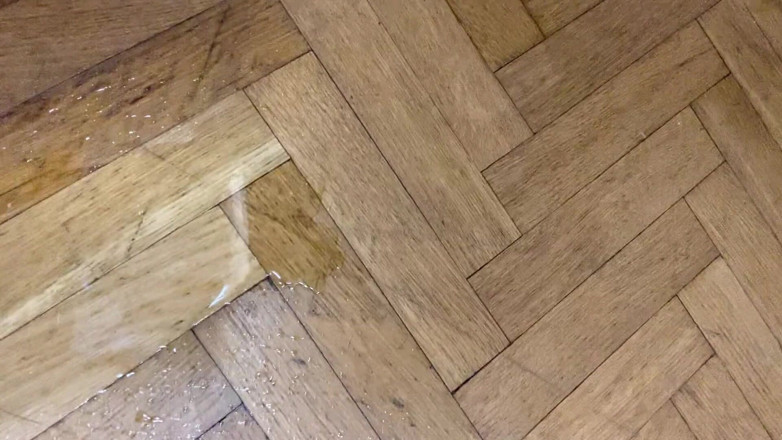 Cuteblonde666: Chlupatá dívka kouří a pak chčije