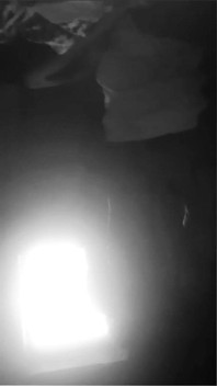 Ragazza tettona in cerca di un bel cazzo