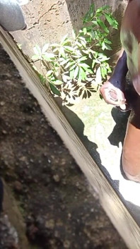 Hot Sunny Day Dick Massage Gone Wild