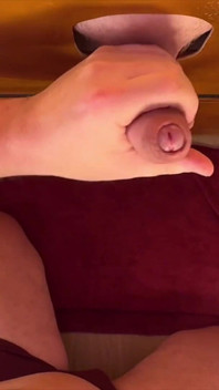 Student S Xl Penisem Navštíví Curych