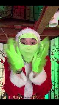 Have You Watched the Grinch Get Pegged yet??