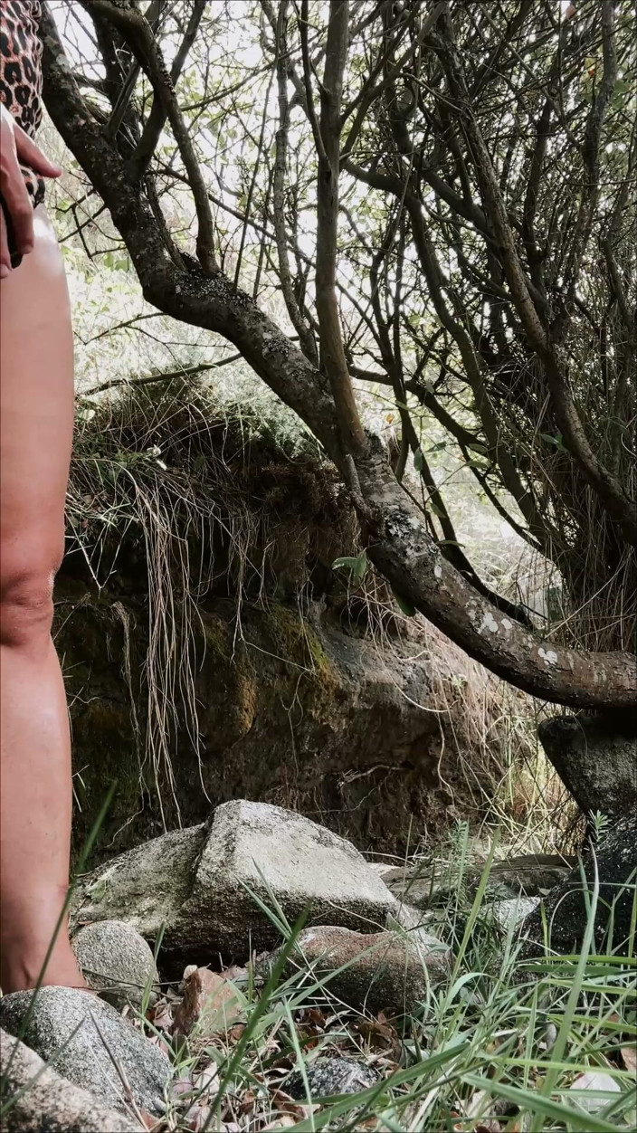 Culon: Wild in the Forest
