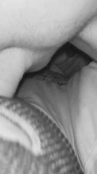 Husband Sucking a TS