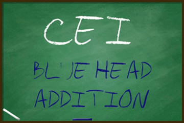Campsissyboi: AUDIO ONLY - CEI blue head addition