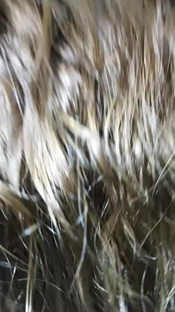 Vidéo maison amateur, pipe interrompue, gorge profonde