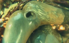 Gifdoozer激烈的狂喜：终极3D重口味合集 - 墙体性爱、肛交、群交等等