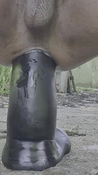 Extreme Pleasure