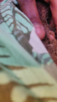Touch This Clit