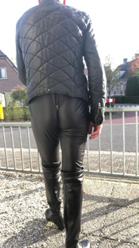 Horny Sitting on a Fence Along the Road