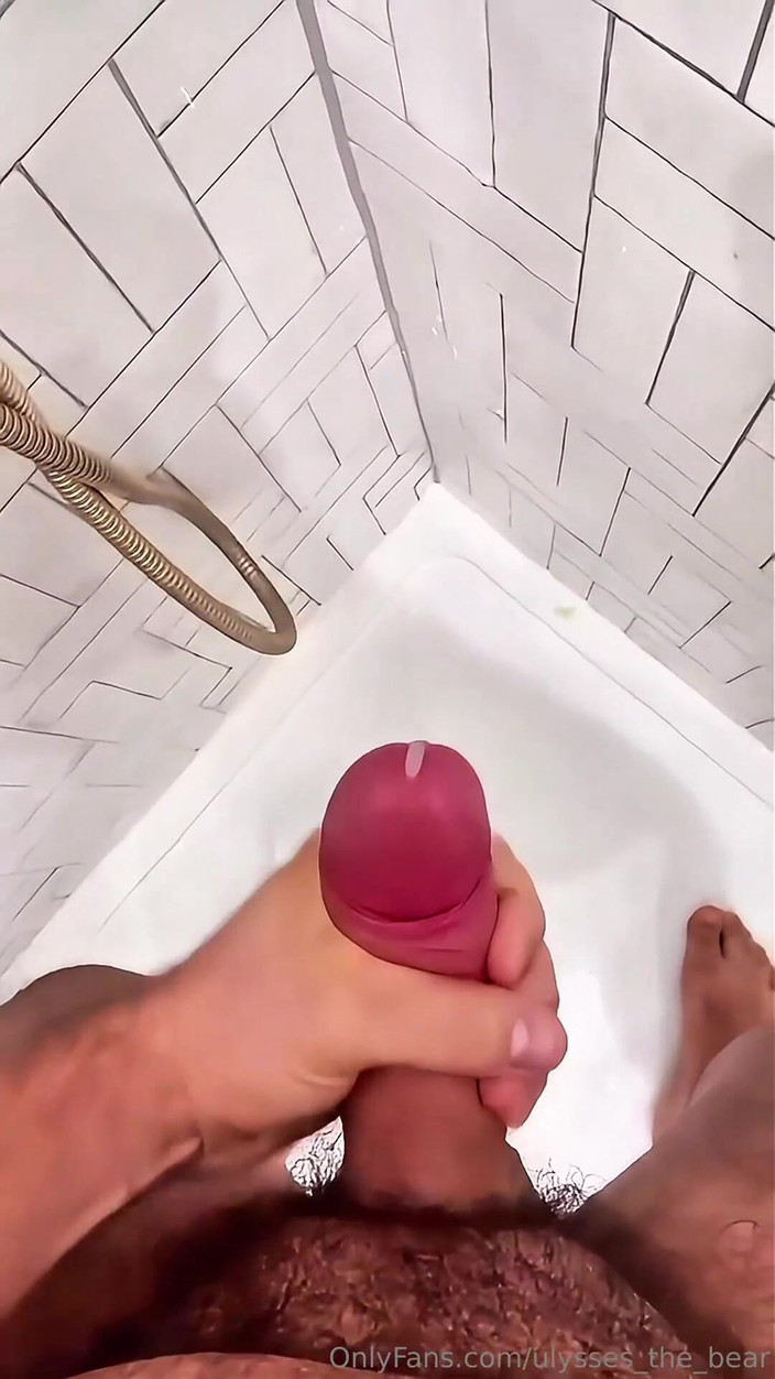 Ulysses the bear: Twarde obciążenie po długim dniu po zakończeniu dnia