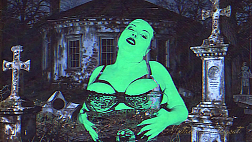 Paranormal Day Special (Mxtress Valleycat) Paranormal Day Special (Mxtress Valleycat)