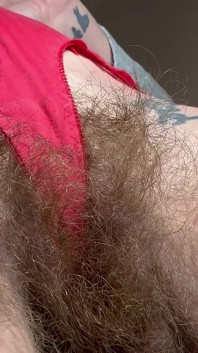 Behaarte muschi im roten höschen