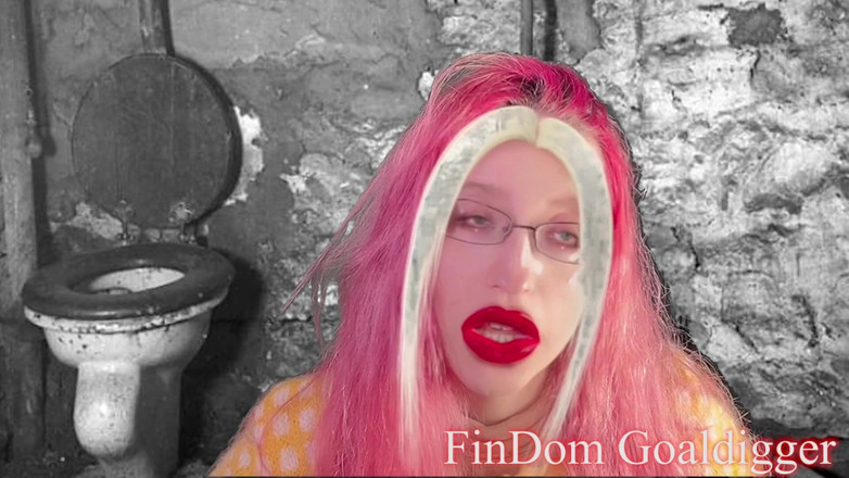 FinDom Goaldigger: Transformacja złotej toalety