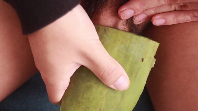 MGEc21: Celá Slamy s aloe vera