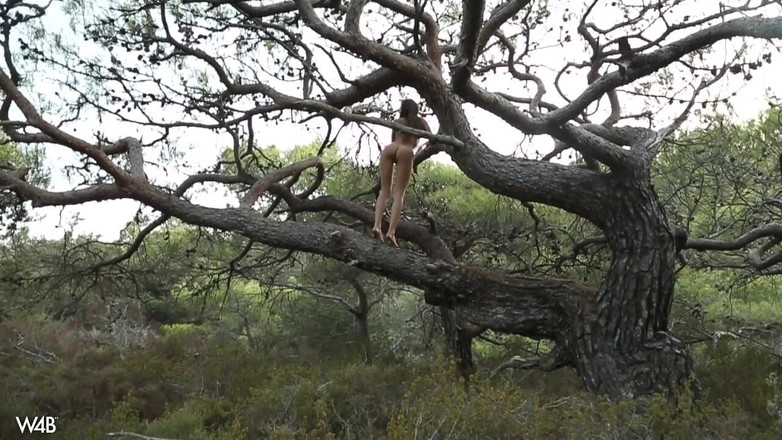 Watch4beauty: Eichhörnchen